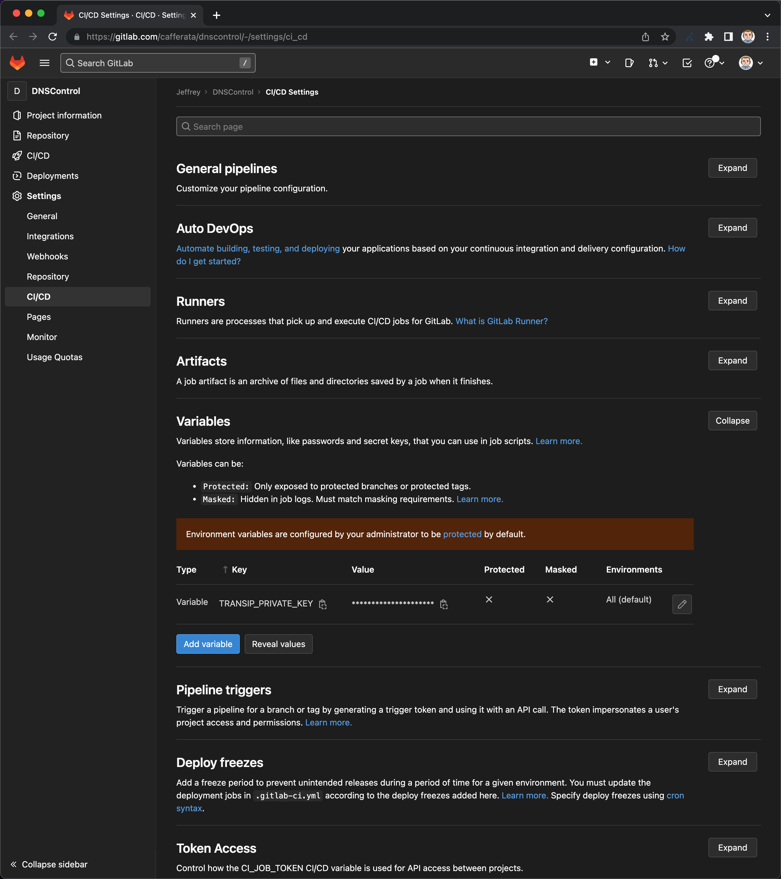 Gitlab CI/CD variables