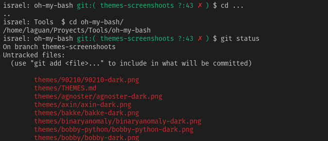/shell-user/oh-my-bash/raw/commit/0465928145a778c43daea904880055d676b3bb74/themes/pro/pro-dark.png